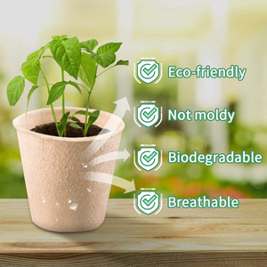 Plateau à semis biodégradable <span class=keywords><strong>en</strong></span> pulpe, <span class=keywords><strong>pot</strong></span> <span class=keywords><strong>de</strong></span> pépinière rond jetable <span class=keywords><strong>en</strong></span> pulpe <span class=keywords><strong>de</strong></span> papier pour graines <span class=keywords><strong>de</strong></span> fleurs - Product Image 3