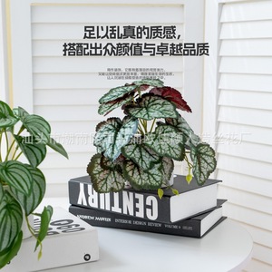 Ou Jiayan Artificial Green Plants 3D Printed Monstera Potted Indoor <b>Decorative</b> Desktop <b>Wall</b> Hanging Vine Plants - Product Image 3