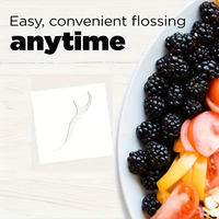 Tandenfloss voor mondverzorging, waterflosser reisset met plastic tandenstoker, munt-tandenflossprikker