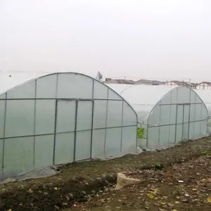 Agricultural High Tunnel Greenhouse with Farm Drip Sprinkler Irrigation System