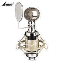 Microphone de studio professionnel Lane, microphone filaire, karaoké, microphone à condensateur filaire professionnel Bm-800xx