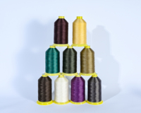 3d Lace Fabric Embroidery Thread 110D/2 120D/2 150D/2 Polyester Embroidery Yarn for Underwear Fabric Lace Dressing Fabric