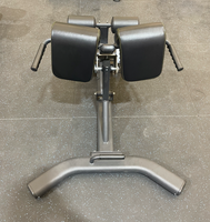 Équipement de fitness multifonctionnel en métal Chaise romaine de musculation commerciale réglable avec des caractéristiques sûres et durables