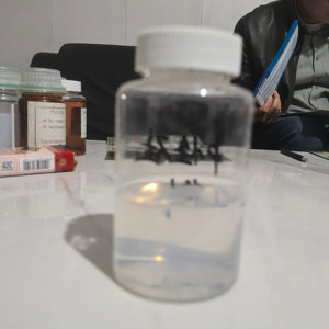 Los fertilizantes de silicona líquida con aditivos reductores del PH mejoran la fuerza de la planta, la resistencia a enfermedades y la tolerancia al estrés - Product Image 1
