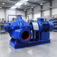 Pompe centrifuge à double aspiration en acier inoxydable haute pression efficace pour l'industrie minière, conception divisée, directement du fabricant
