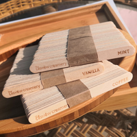 Bâtonnets de crème glacée en bois de bouleau jetables en gros avec logo personnalisé