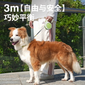 Laisse rétractable pour chien avec fonction de rétraction pour la promenade des animaux de compagnie - Product Image 4