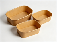 Bols carrés en plastique pour salade – Bols contemporains jetables multicolores de qualité supérieure, robustes pour mariages, traiteur, anniversaires