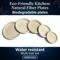 Fibres de coque de riz biodégradables jetables 100 % compostables non blanchies écologiques durables taille personnalisée pour desserts de fête