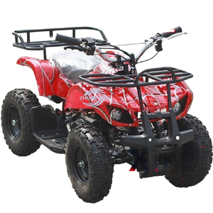 Good Looking <b>Gasoline</b> Mini Quad Bike, Two-Stroke Off-Road Vehicle Designed For Young Riders - Product Image 2