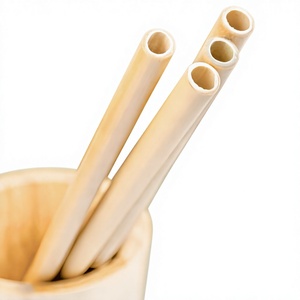 Pailles à boire réutilisables en bambou naturel, logo personnalisé, étiquette privée, fourni par Eco2go Vietnam - Product Image 1