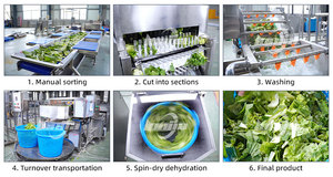 Ligne de découpe et de lavage pour laitues, choux, céleri et légumes à feuilles, avec machine de découpe en sections et laveuse par pulvérisation - Product Image 4