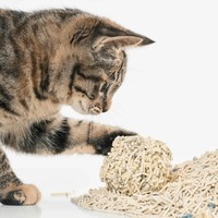 Litière pour chat mélangée à base de tofu, mélange premium de tofu et de bentonite, désodorisante, faible teneur en poussière, non collante, fond non collant