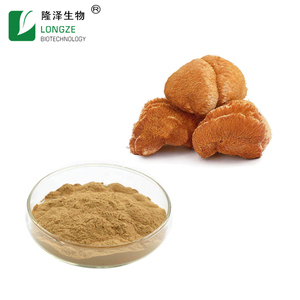 Longze factory direct – poudre d'extrait de champignon de crinière de lion/<span class=keywords><strong>Hericium</strong></span> <span class=keywords><strong>Erinaceus</strong></span> - Product Image 3