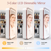 Mini-réfrigérateur compact portable en plastique, ultra-silencieux, économe en énergie, capacité de 6 L, pour voiture, maison, hôtel, prise en charge de la langue française