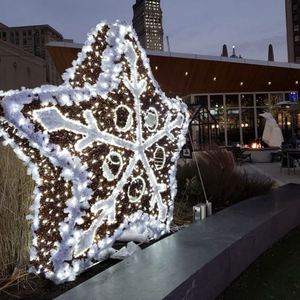 Grand <span class=keywords><strong>arbre</strong></span> <span class=keywords><strong>à</strong></span> boule géant 3D LED, flocon de neige, étoile, lumière pour Festival extérieur, décoration de noël - Product Image 3