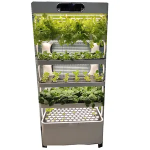 Nieuw Product Hydrocultuur Trays Groeiende Groenten Zaden Trays Groeiende Machine