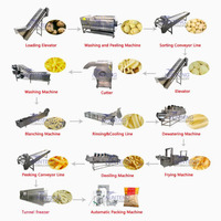 Línea de producción de patatas fritas de 500 Kg/h Línea de producción de patatas fritas congeladas Línea de producción de patatas fritas y patatas fritas