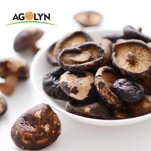 Mycélium de champignon Shiitake séché, <span class=keywords><strong>prix</strong></span> avantageux, fabriqué en Chine - Product Image 3