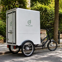Vélo cargo électrique à 3 roues 48V 850W avec caisse pour adultes, fourgonnette de livraison arrière, quad cargo, vélo cargo électrique – Approvisionnement direct usine