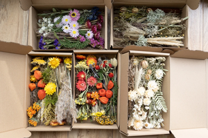 Mix di Fiori Secchi per Artigianato, Assortimento di Erbe e Fiori Conservati, Confezione Botanica per Sapone, Gioielli, Candele, Festa della Mamma - Product Image 2