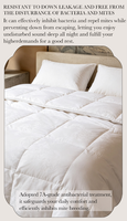 Couette en duvet de canard toutes saisons, taille Queen, blanche, douce, chaude et respirante, ensemble de literie pour la maison