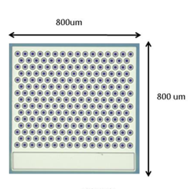High Quality 1W 940nm VCSEL Chip Laser Diode Infrared Bare Chip for Medical Pumping