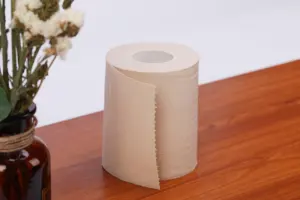 Nhà sử dụng dùng một lần tre giấy vệ sinh nhãn hiệu riêng