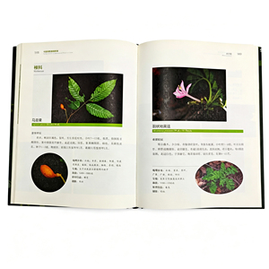 Libro <span class=keywords><strong>de</strong></span> Plantas, Libro Botánico, Libro <span class=keywords><strong>de</strong></span> Introducción a las Plantas, Libro Ilustrado <span class=keywords><strong>de</strong></span> Plantas, Libro <span class=keywords><strong>de</strong></span> Tapa Dura, Impresión Cosida, Papel <span class=keywords><strong>de</strong></span> Impresión - Product Image 4
