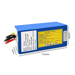 29.6V 8S3P 12.6Ah LiNiMnCoO2 Lityum Pil Paketi, 100A Deşarj BMS Koruma Kartı, 800 Döngü Ömrü, UN38.3 Test Raporu, MSDS - Product Image 3