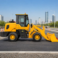 Chargeuse sur pneus compacte 4x4 articulée diesel pour travaux agricoles, chantiers, chargement de matériaux et mines