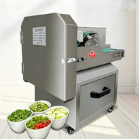 Elektrische motor automatische model 20 commerciële fruit- en groentesnijmachine voedselhakselaar voor komkommer- en aardappelverwerking