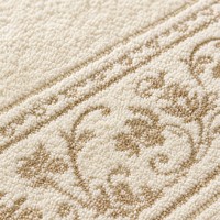 Tapis lavable sans rinçage pour salon, canapé et chambre à coucher, style crème français luxueux et épais