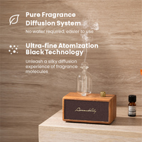 Diffuseur d'huiles essentielles électrique sans eau avec logo personnalisé en bois, diffuseur de parfum, diffuseur d'aromathérapie pour la maison