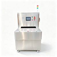 Máquina de Sellado por Calor de Gran Formato para Papel Tyvek, PVC, PET, PETG, Soluciones de Sellado y Empaquetado Estéril