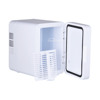Nouveau réfrigérateur portable professionnel pour soins de la peau 4L, mini-réfrigérateur embarqué GBJ-4L