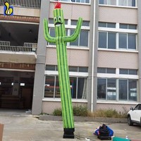 Chine Usine Cactus Air Dancer Gonflable Publicité Tube Homme