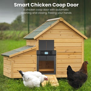 Puerta Automática para Gallinero, Moderna, Impermeable, con Control Remoto, Temporizador, WiFi, Energía <span class=keywords><strong>Solar</strong></span>, Batería de Aluminio, Pantalla LCD Grande - Product Image 4