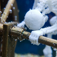 Décoration d'aquarium dynamique en forme de squelette, ornement amusant pour aquarium