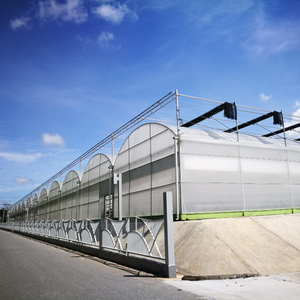 Serre en verre multi-chapelles Skyplant de grande taille avec options de baies et de hauteurs entièrement flexibles pour les besoins de plantation - Product Image 1