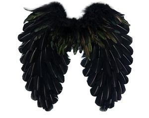 Fata piuma d'angelo ala per adulti regalo di natale <span class=keywords><strong>festa</strong></span> ornamento Costume da <span class=keywords><strong>festa</strong></span> Cosplay danza carnevale decorazione di <span class=keywords><strong>Halloween</strong></span> - Product Image 1