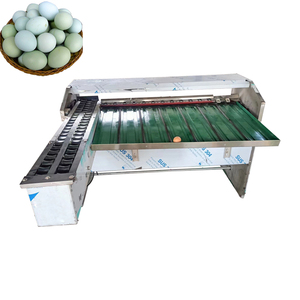 Sorting and Egg Grading Machine Egg Sorting and Washing Machine Eggs Sorting Machine with Stamping - Product Image 4