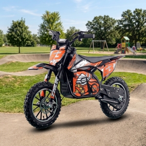 Minimoto de Cross para Niños de 36V, Motor de 500W/800W, Límite de Velocidad Seguro, Frenos de Disco, Motocicleta Todoterreno - Product Image 4