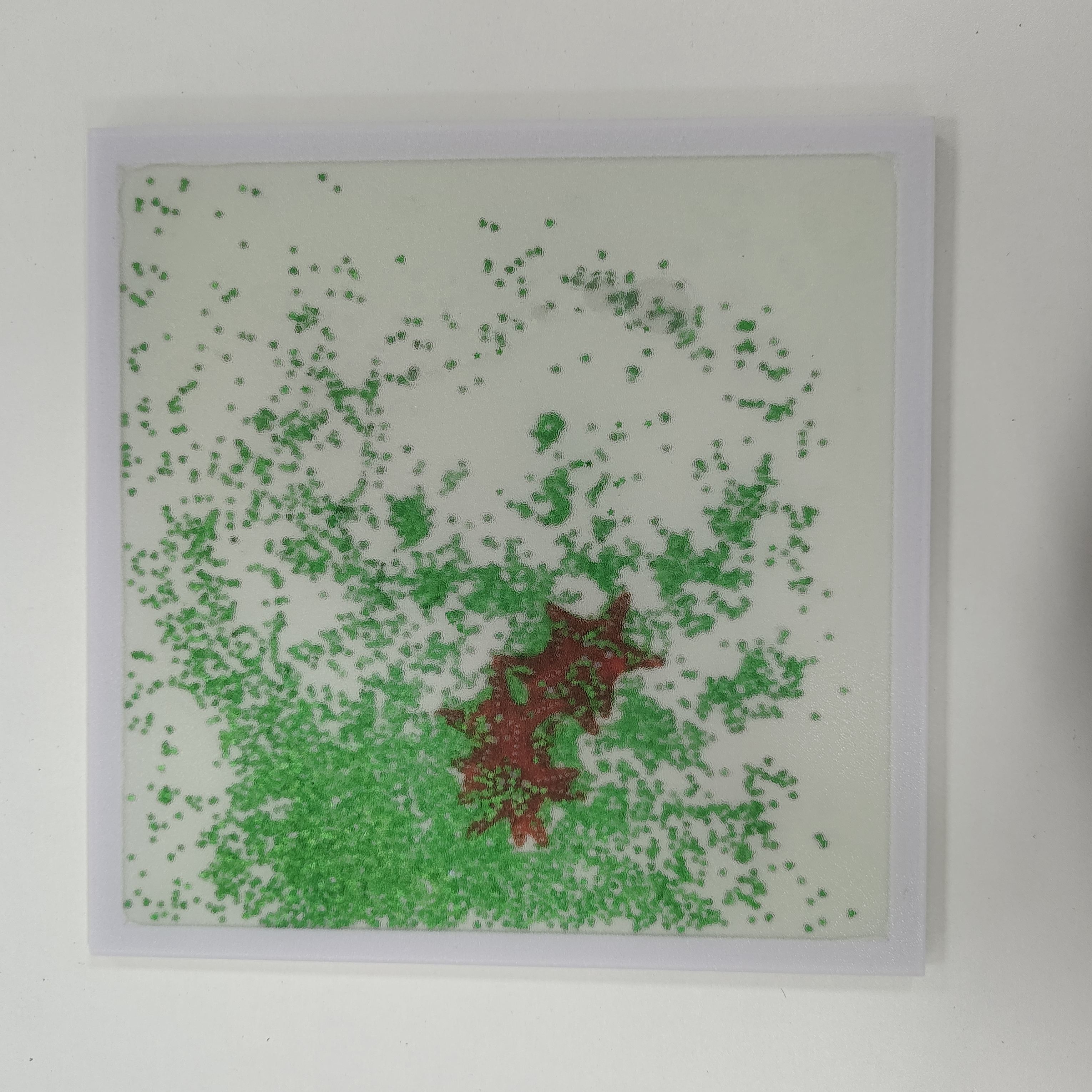 ปลาดาวทะเลสีเขียว