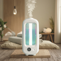 Diffuseur d'arômes électrique portable pour salle de bain d'hôtel avec logo personnalisé, en plastique, garantie 1 an, pour usage domestique