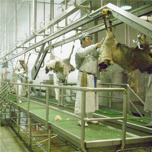 Riel de tubo de línea de sacrificio de cadena de transmisión automática, riel plano de doble riel para ganado, ovejas, <span class=keywords><strong>matadero</strong></span> de cerdos - Product Image 6