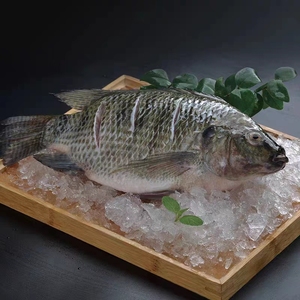 ขายตรงจากโรงงาน <span class=keywords><strong>ปลา</strong></span>ทิลาเปียออร์แกนิกทั้งตัว บรรจุภัณฑ์สุญญากาศ แช่แข็ง น้ำเค็มต่ำ ไขมันต่ำ ได้รับการรับรองมาตรฐาน HACCP ISO จากเป่ยไห่ - Product Image 3