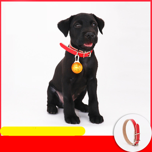 Venta al por mayor del fabricante multi-Colores gato mascota perro <span class=keywords><strong>collar</strong></span> de cuero - Product Image 2