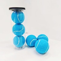 Balles de tennis d'entraînement en caoutchouc bleu clair Newchance 06 pour débutants, excellent rebond, durables, pour massage et fitness, usage individuel