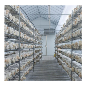 Invernadero de Estructura de Acero de Alta Calidad SINO con Sistema de Ventilación Automático, Película de PE de Doble Capa, Tamaño Personalizable - Product Image 2